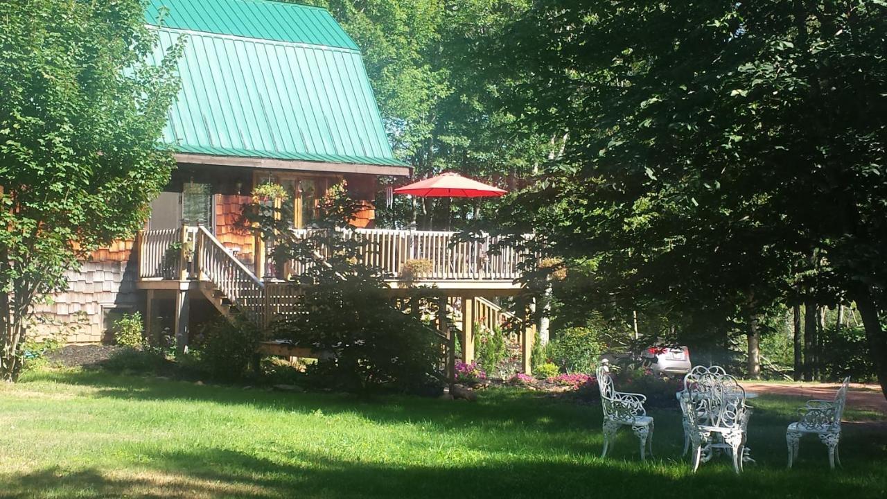 Chestnut Lane Bed And Breakfast Hunter River Dış mekan fotoğraf